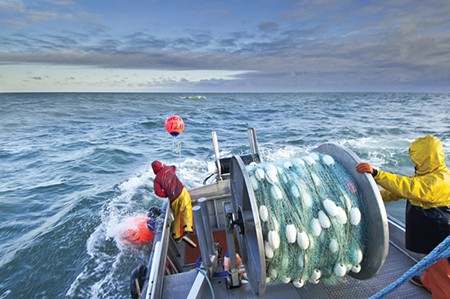 Alaska’s Fishing Industry: The universal relevance of a multi-billion dollar industry