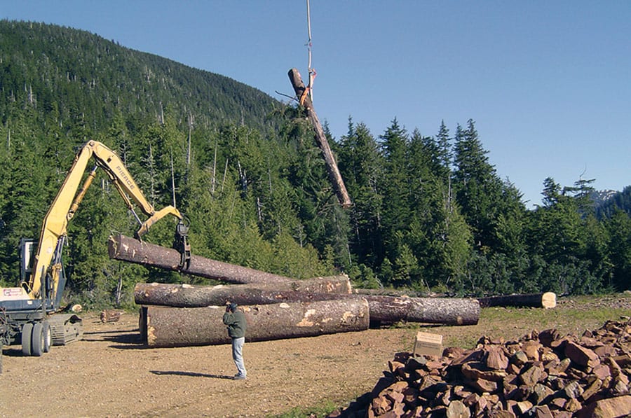 Alaska Timber Industry Needs Increased Tongass Harvest