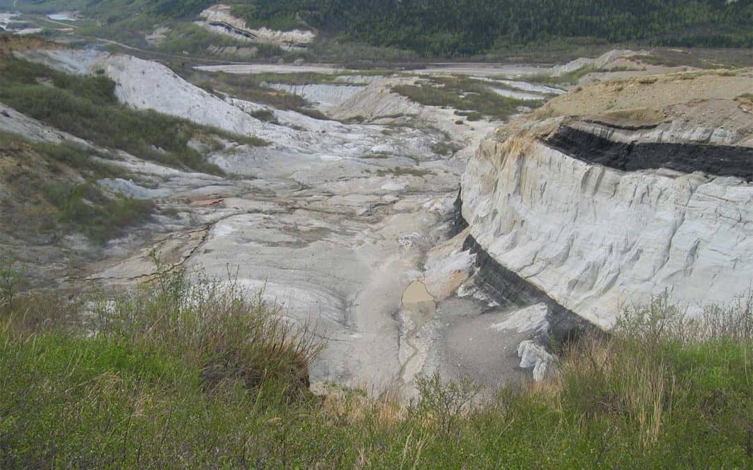 Mine Site Reclamation