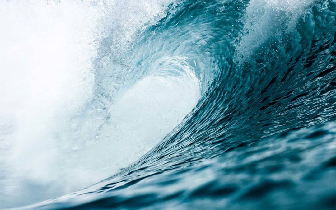 Learning to Surf the Waves of Change