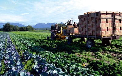 $1.8 Million in Food Security Grants