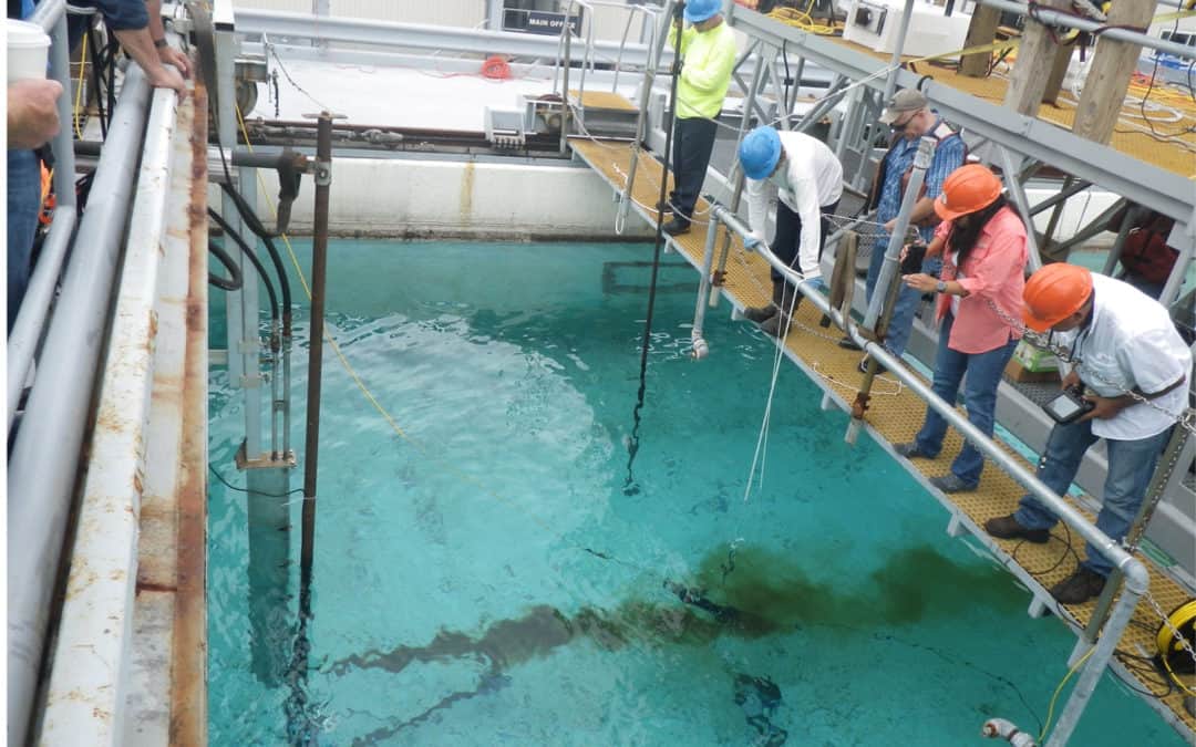 Detection of Oil in Water Column Using AZFP