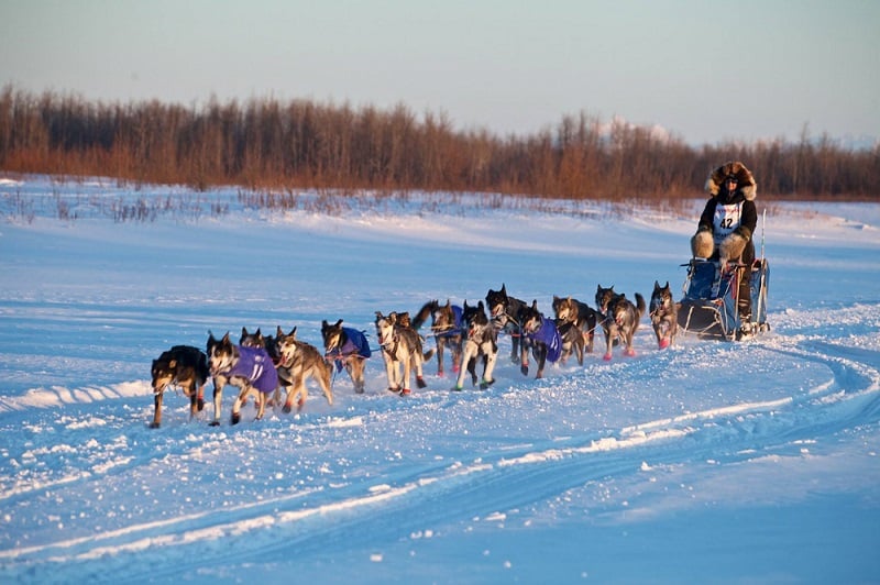Climate Specialist to Provide Iditarod Weather Information