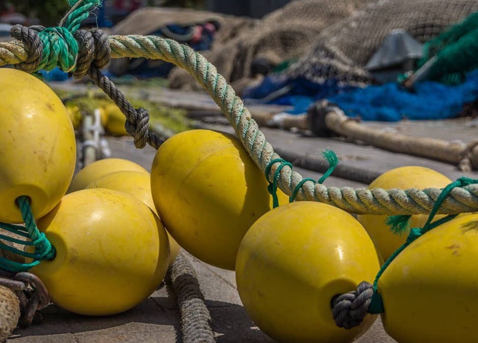Governor Announces Nominations to North Pacific Fishery Management Council