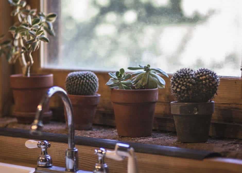 Snowbirding in Arizona—in Your Own Home
