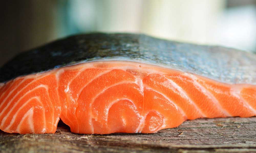 FDA Approves Production of Transgenic Salmon in the United States