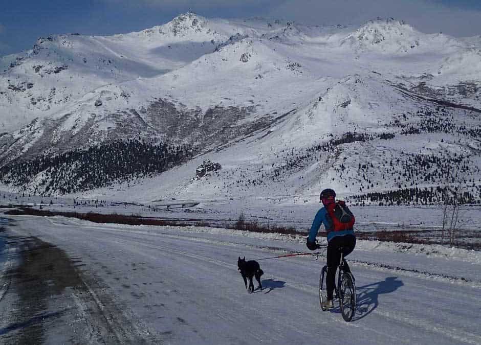 Winter is Coming, but Denali Still Has Much to Offer
