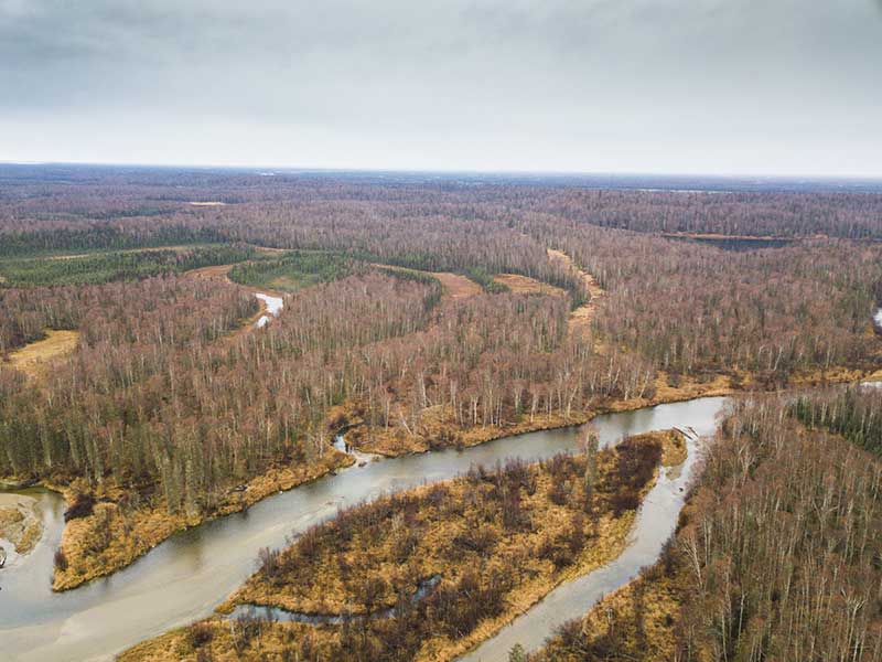 Looking west over Susitna watershed.