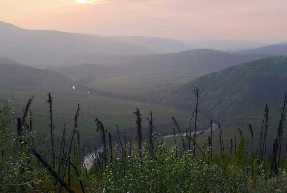 Keeping the Carbon in Alaska Forests