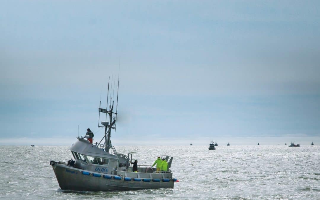 COVID-19 and Fishing in the Last Frontier: What’s on the Line?