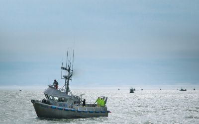 COVID-19 and Fishing in the Last Frontier: What’s on the Line?