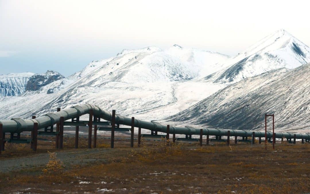 Harvest Alaska, Author at Alaska Business Magazine