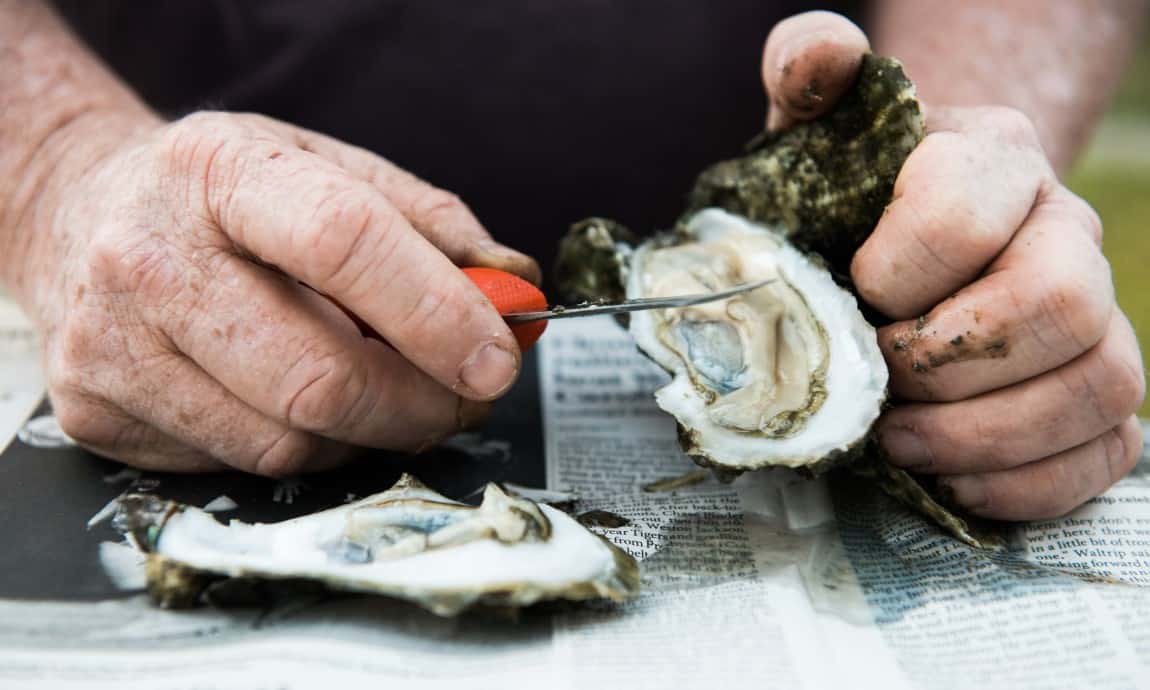 Halibut Cove Bates Family Is Alaska's Farm Family of 2020 - Alaska Business Magazine - Vimarsana News