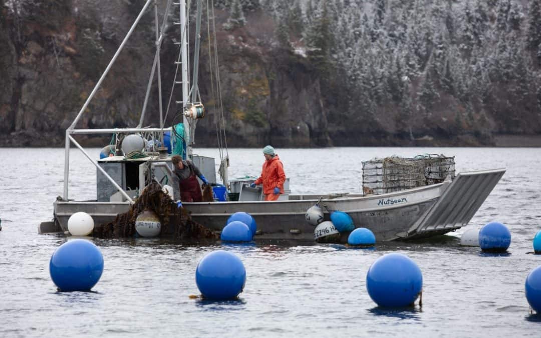 Halibut Cove Bates Family Is Alaska’s Farm Family of 2020
