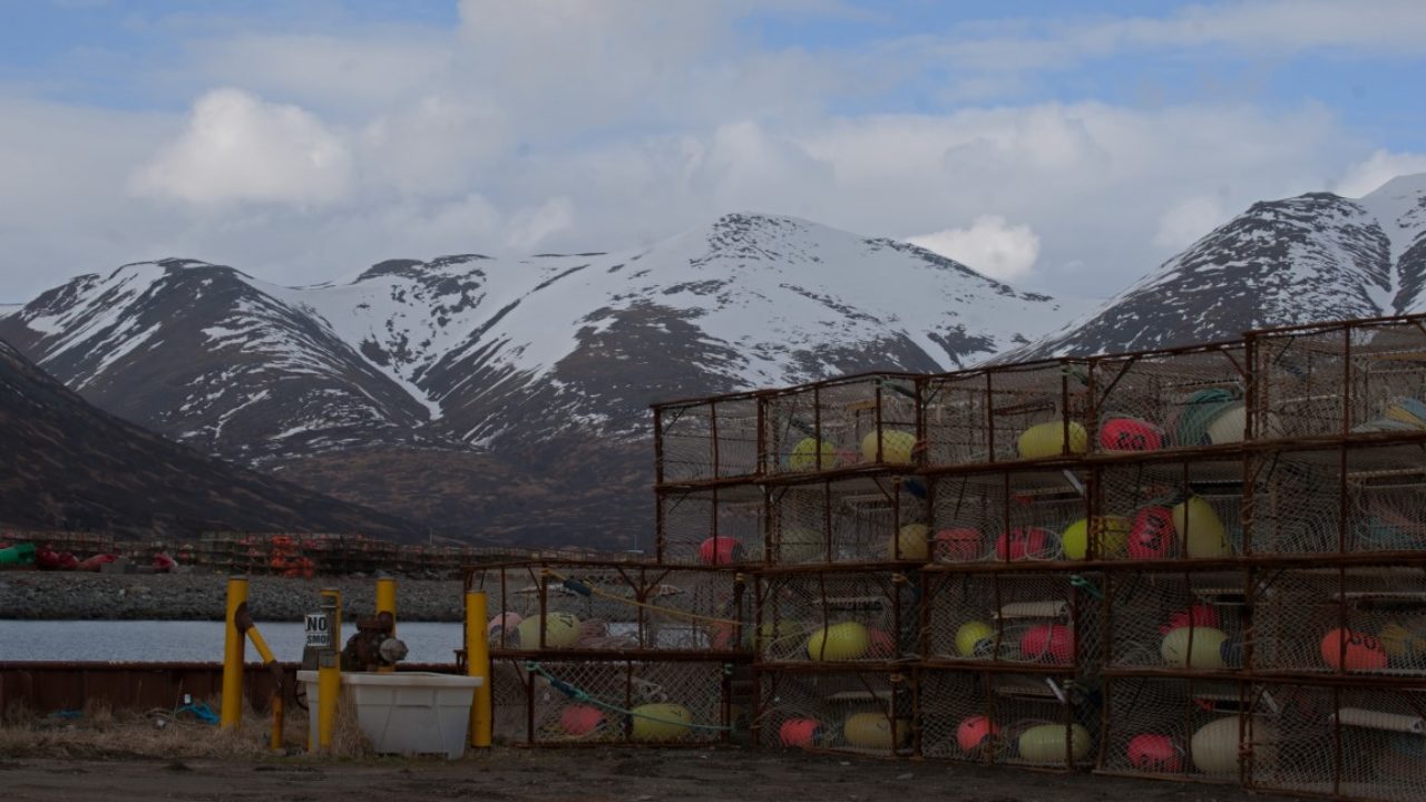 king cove ak processing facility peter pan seafood company llc wild alaskan seafood on peter pan seafoods king cove alaska