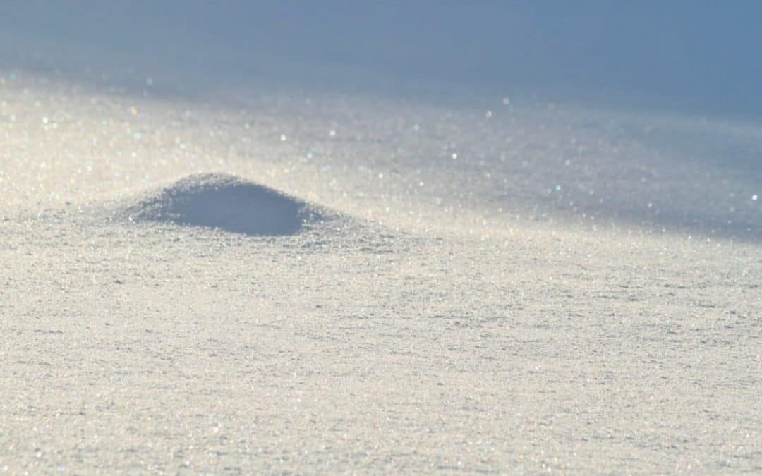 Northern Alaska Oil & Gas Lease Bids Total More than $7 Million