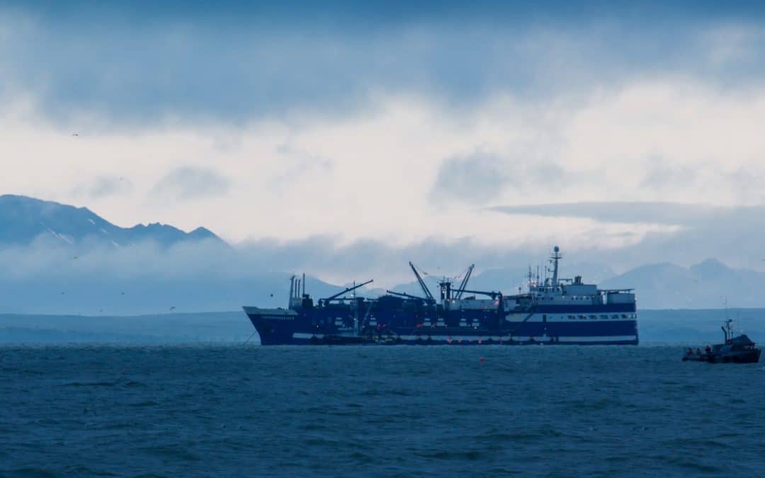 Bristol Bay Development Fund Congratulates Path to Prosperity Business Competition Awardees