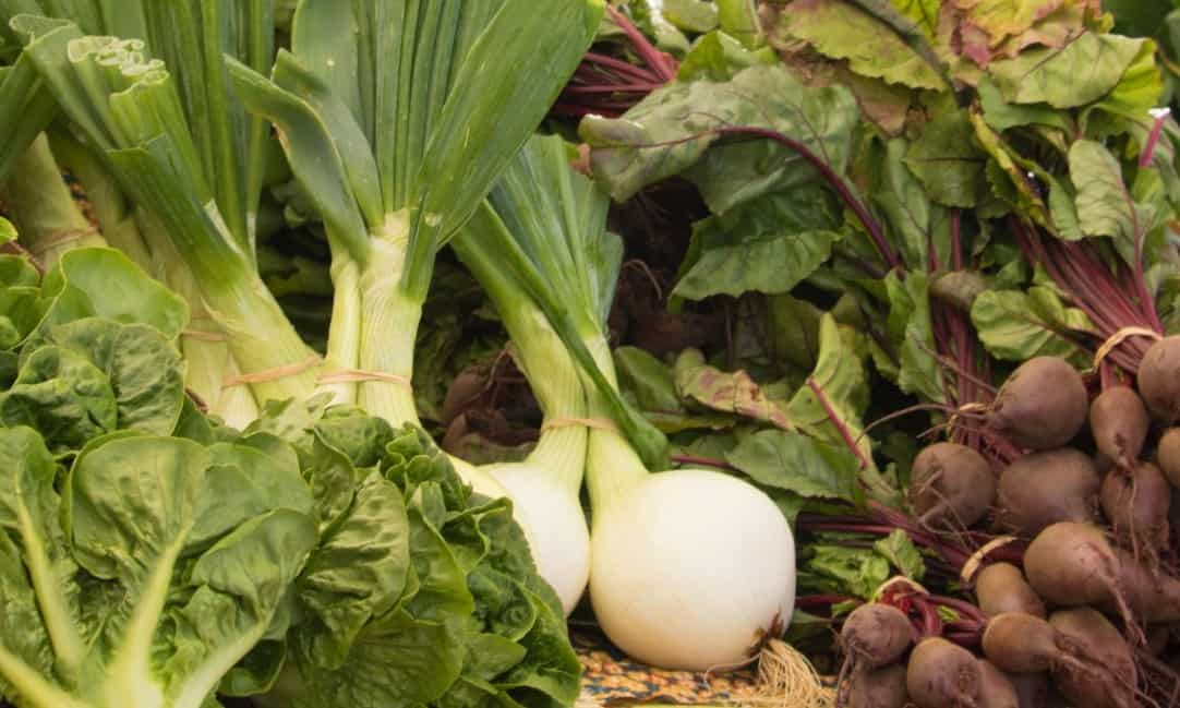 Homer Produce