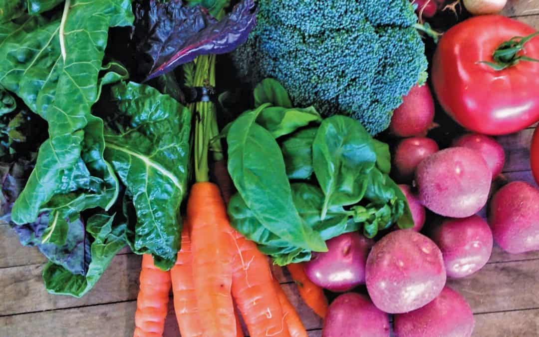 Favoring Fresh Eats: Dining on Alaska-Grown Products