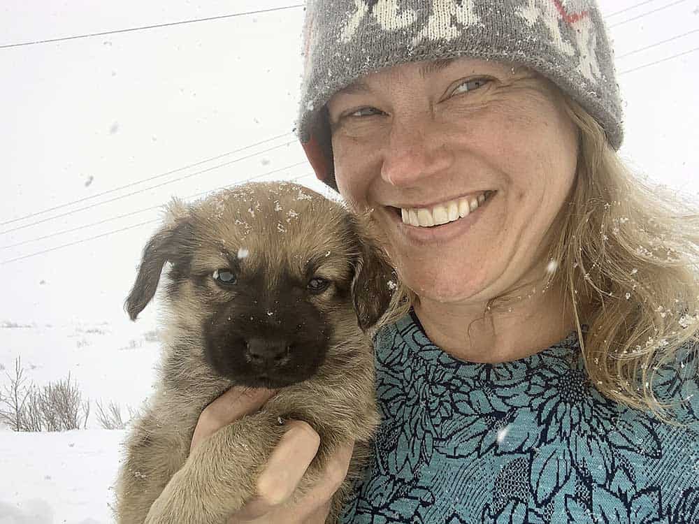 Nightmute_puppy-scaled