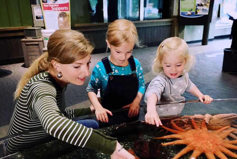 Phase One of Alaska SeaLife Center’s Rocky Coast Discovery Pools Completed