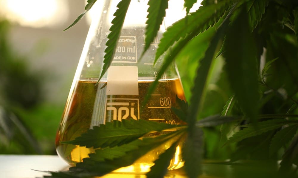 Alaska Joins National Cannabis Regulators Association