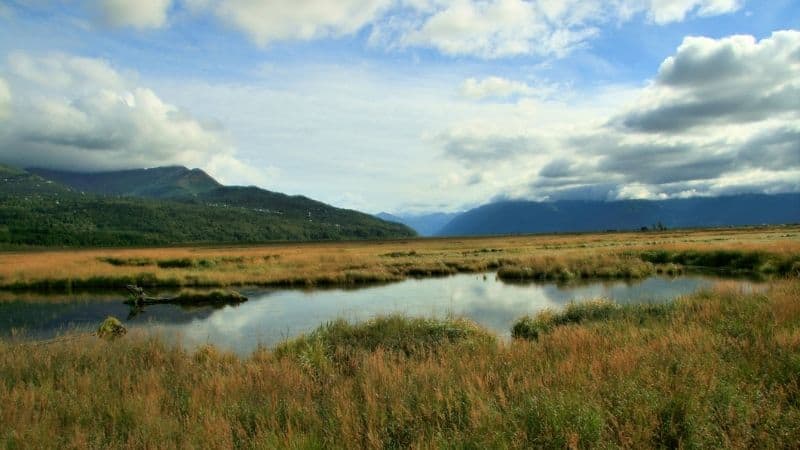 DNR to Open Bids Online for State Land Auction 492