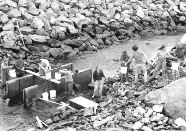 Students build the hatchery at Sheldon Jackson College, 1974.