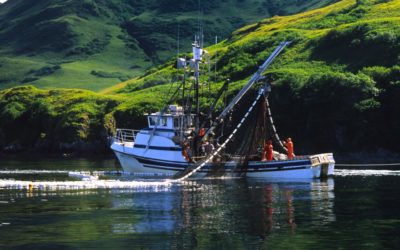 Pre-statehood Fishermen’s Fund Remains True to Course