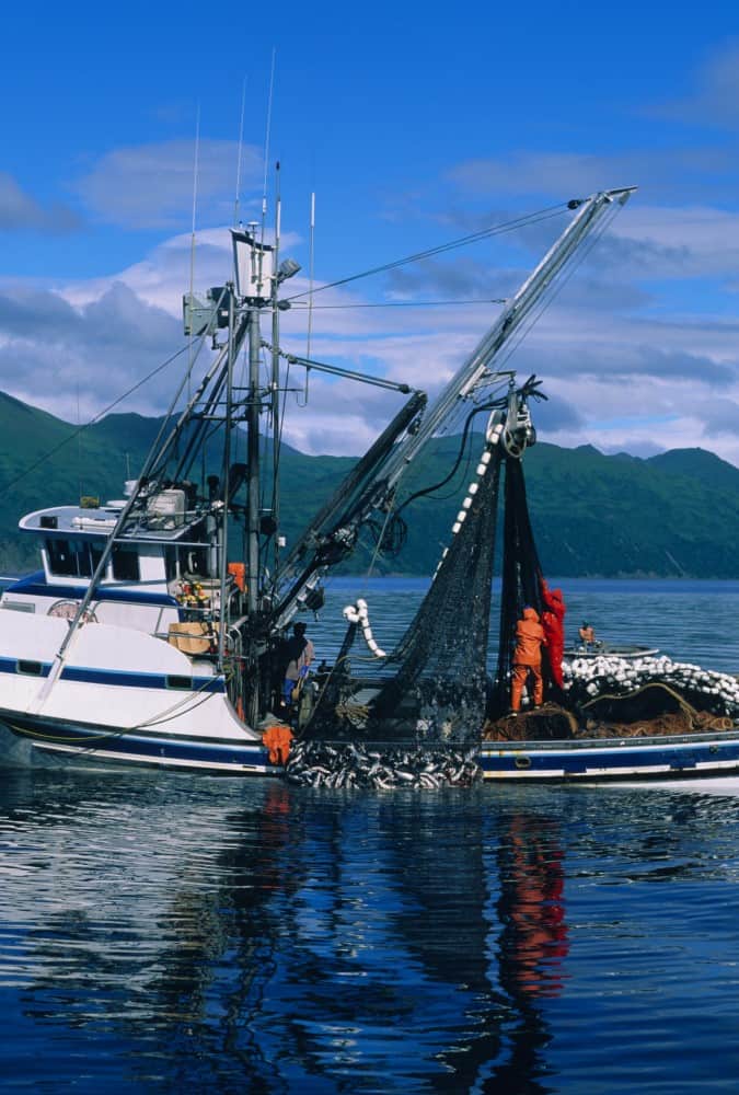 fishermen's fund II
