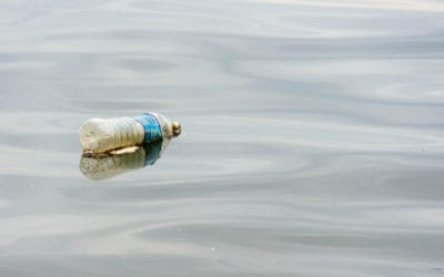 Study: 8 Million Metric Tons of Plastic Waste Enter Oceans Each Year