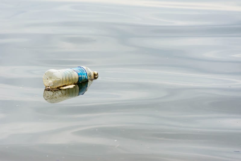 Who left this here?