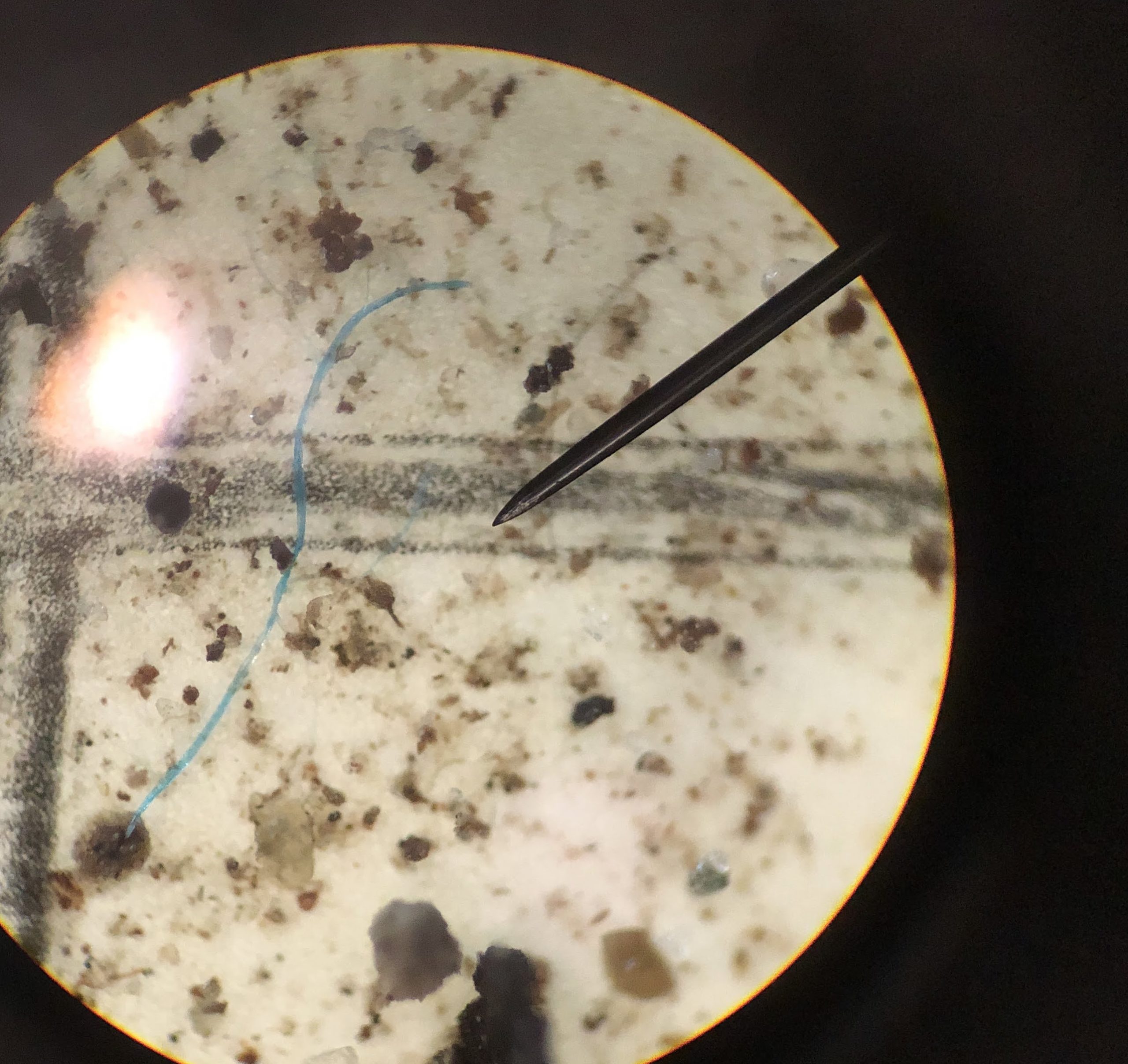 1. Microplastic fiber Microplastic fiber