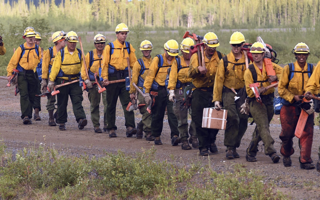 State Forestry Offering Virtual Wildland Firefighting Class