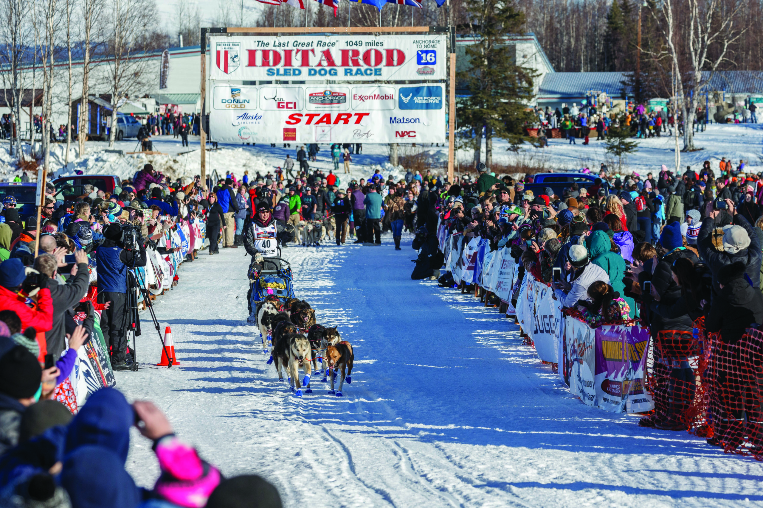 Mike Williams Jr. as he leaves the start during 2016 Iditarod.