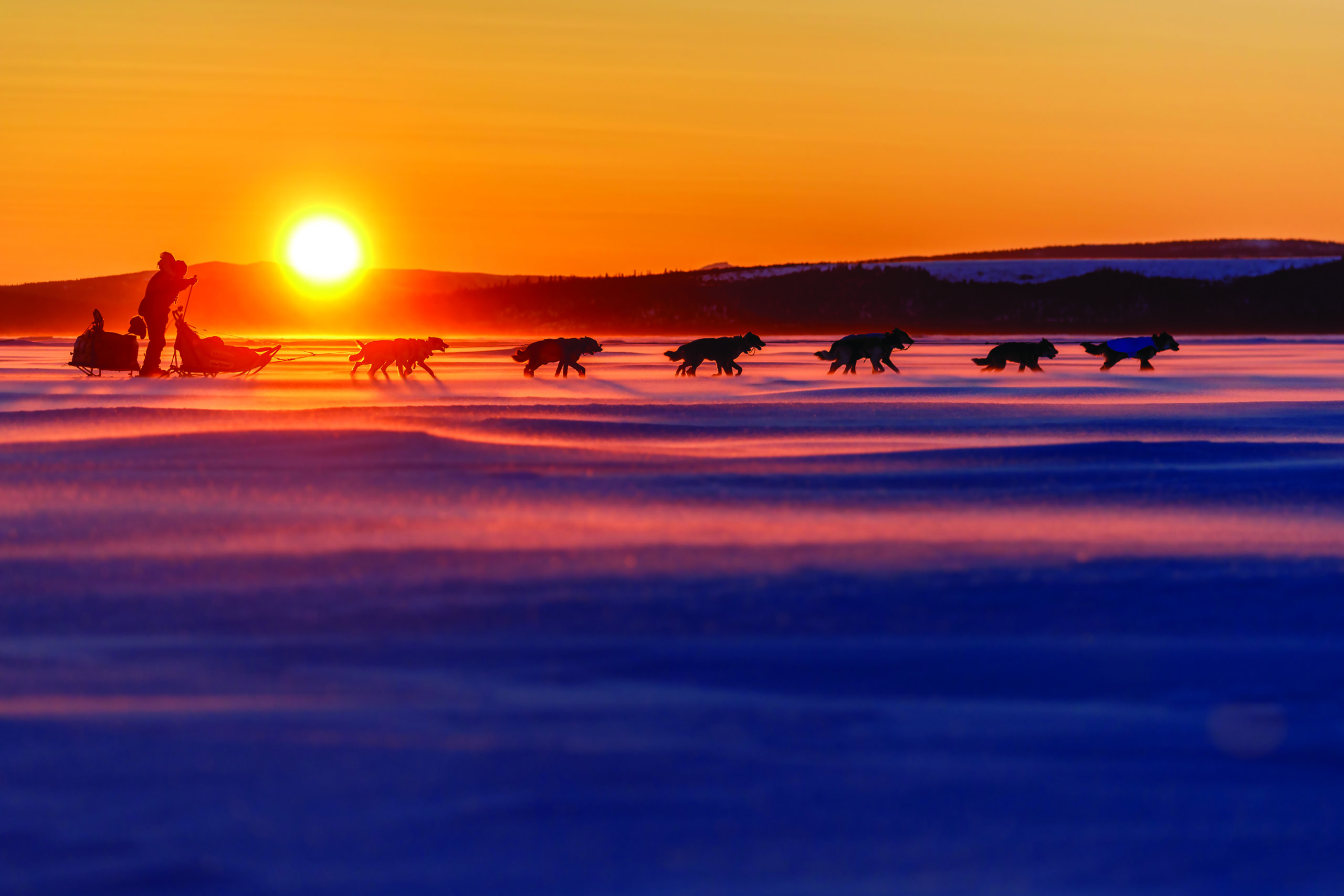 Aliy Zirkle runs on the sea ice of Norton Sound during the 2017 Iditarod at sunset.