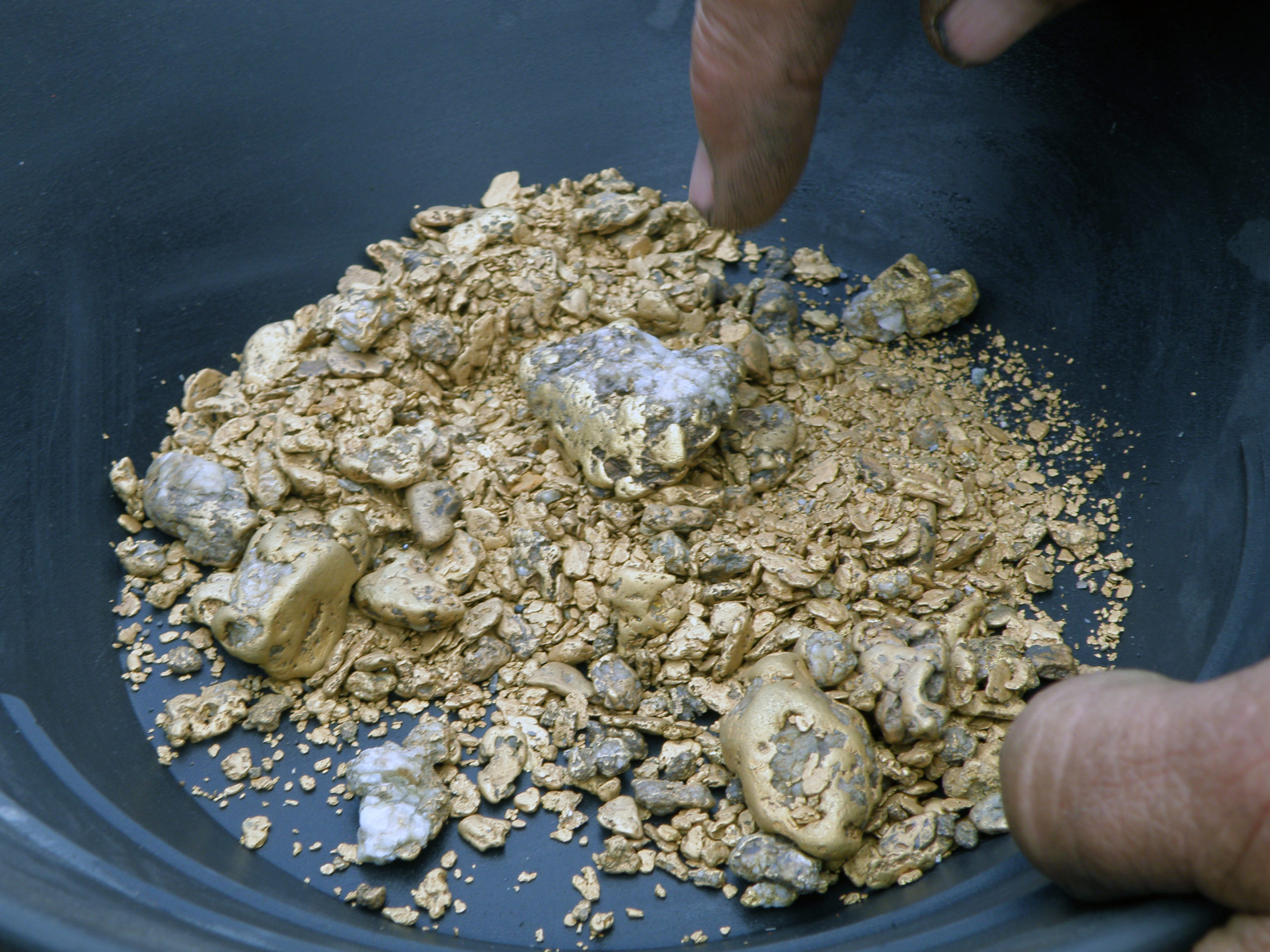 A pan full of placer gold taken from the Hot Springs Mining District between the Yukon and Tanana Rivers. A pan full of placer gold taken from the Hot Springs Mining District between the Yukon and Tanana Rivers.