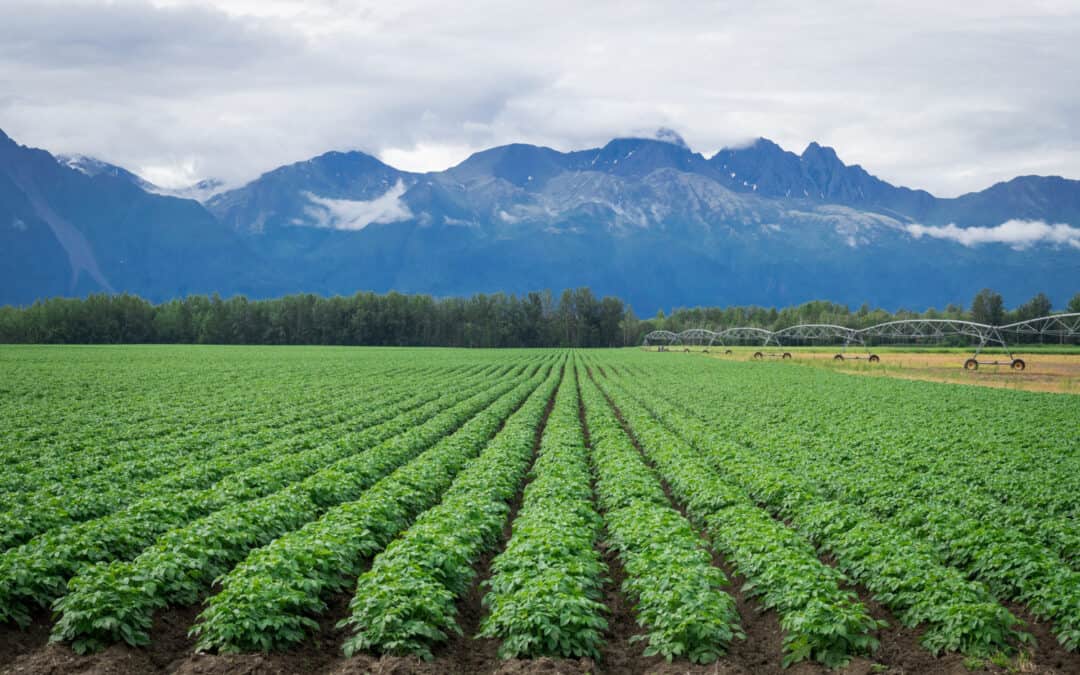 State Grants Available for Food Security, Specialty Crops