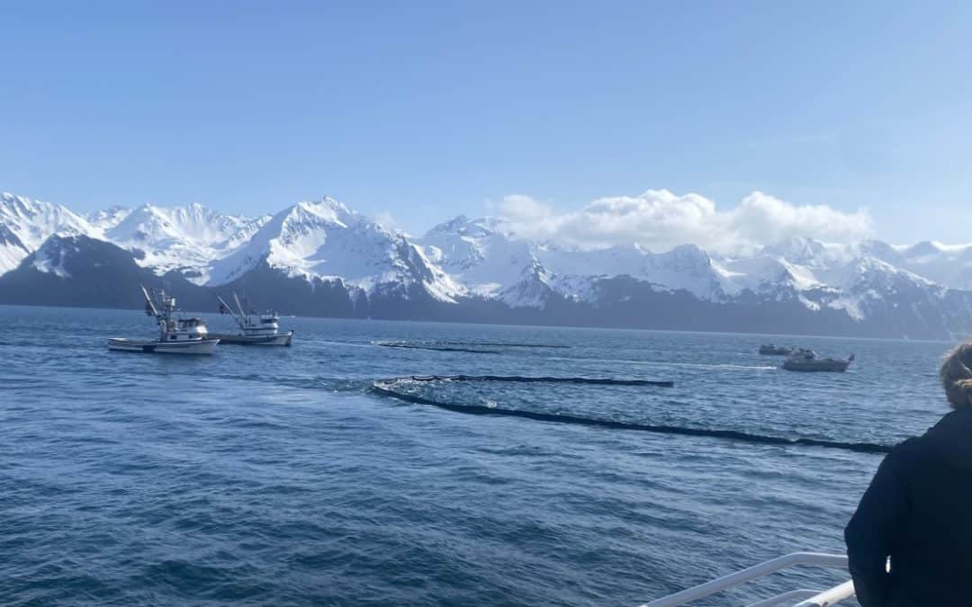 Audience Returns to On-Water Spill Training in Seward