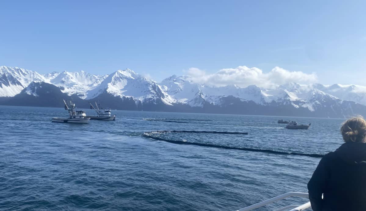 Seward Spill Training