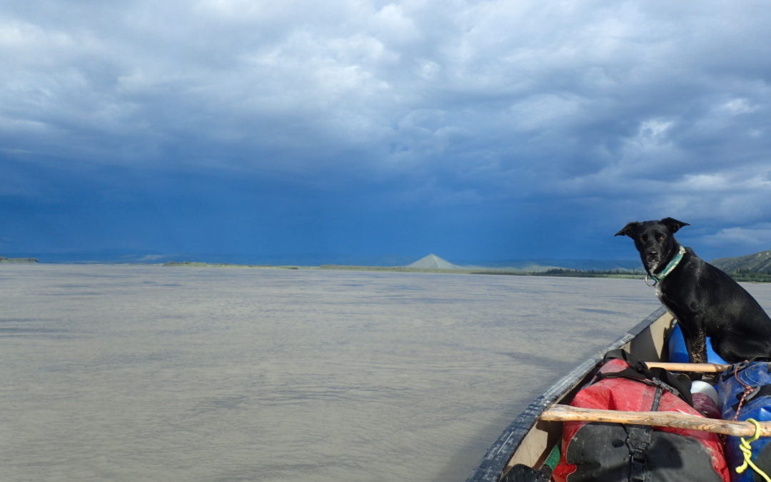 Alaska Science Forum: Alaska’s Water Crop Is a Natural Resource