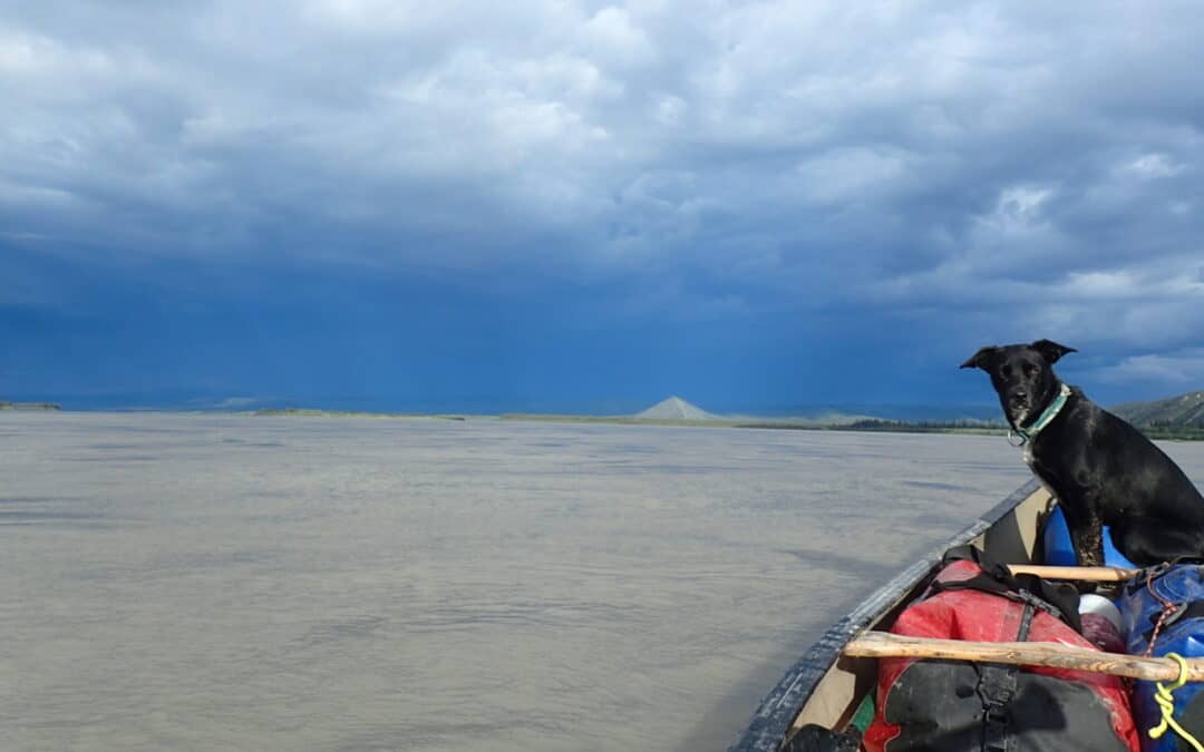 Alaska Science Forum: Alaska’s Water Crop Is a Natural Resource