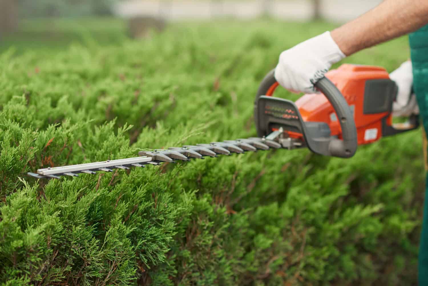 JEFFCO Grounds Maintenance Alaska Business Magazine
