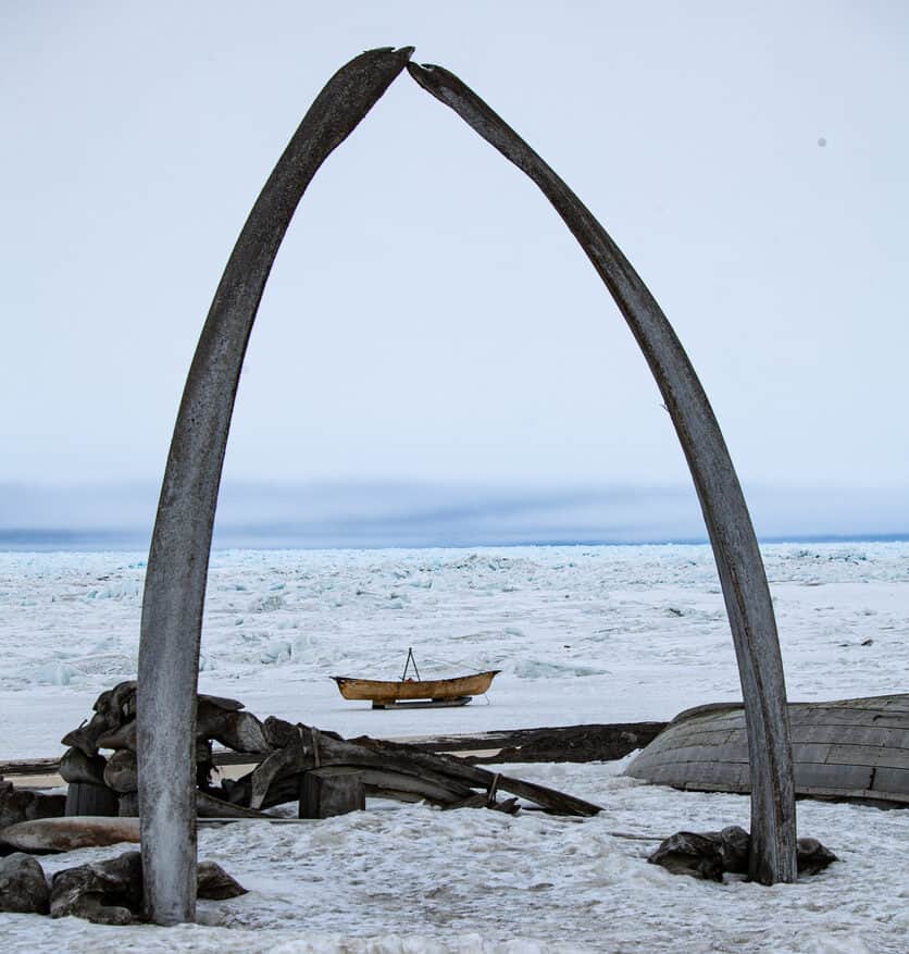 Whale Bones in Utqiagvik, Alaska