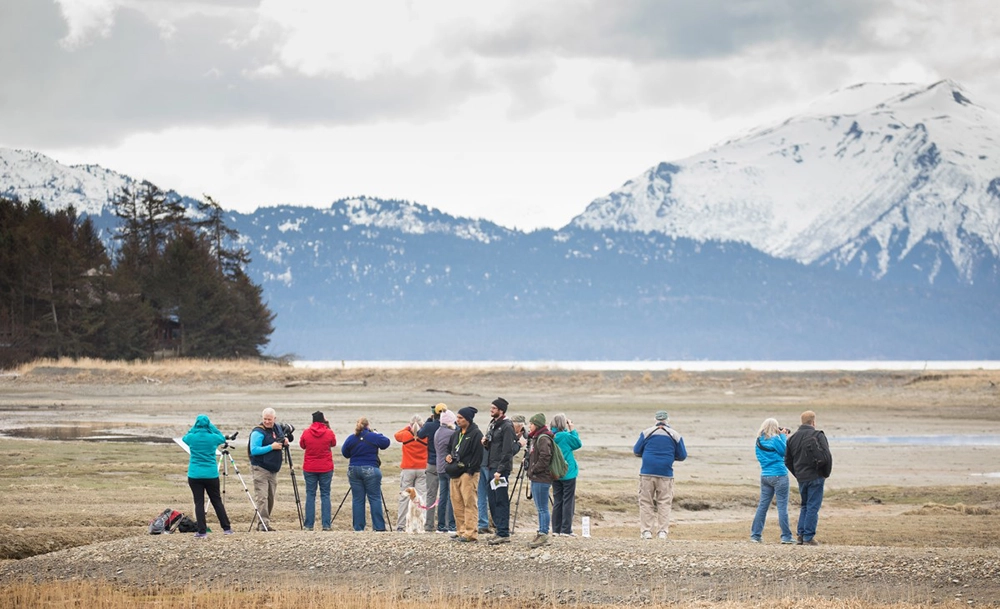 People Birdwatching in Alaska