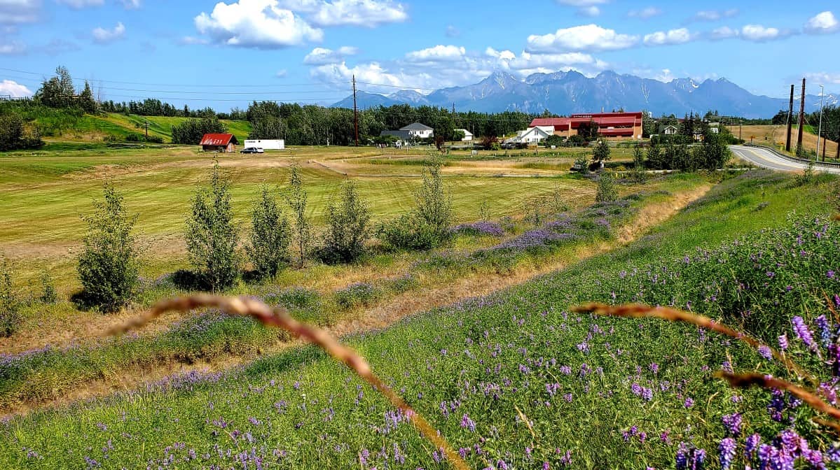 Matanuska Experiment Farm