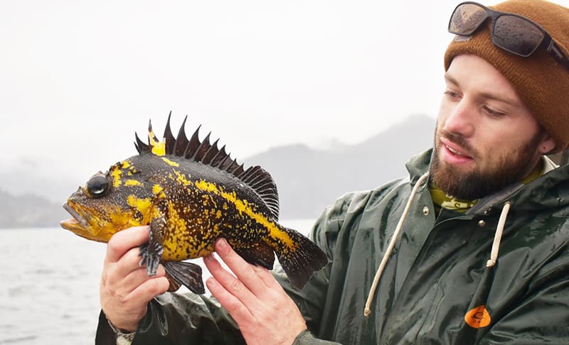 Kyle Gatt holds a China rockfish
