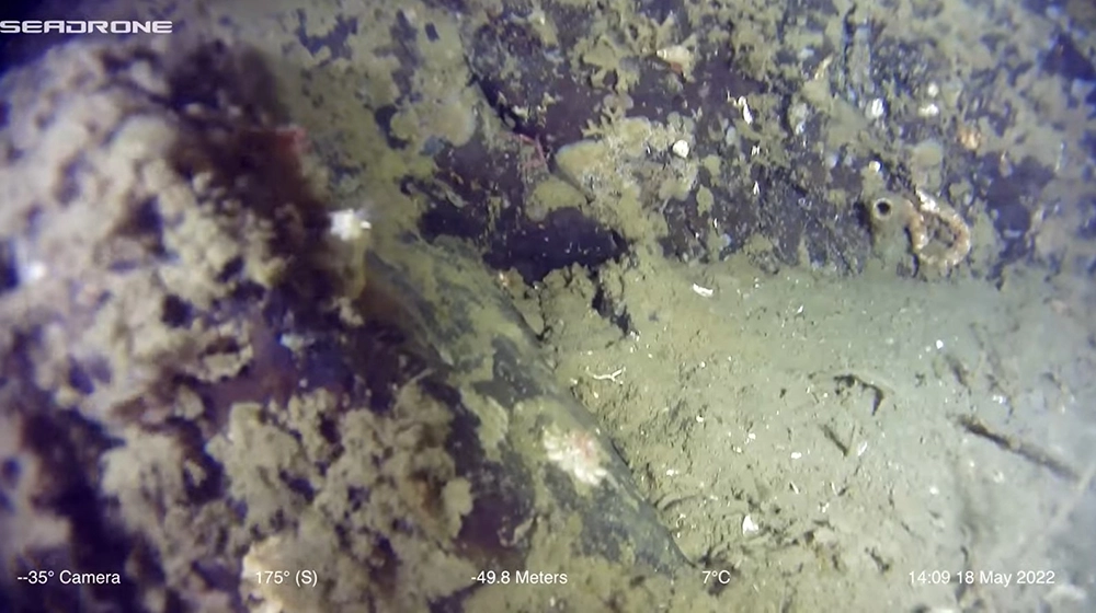 Scientists Discover Ancient Fish Trap in Southeast Alaska