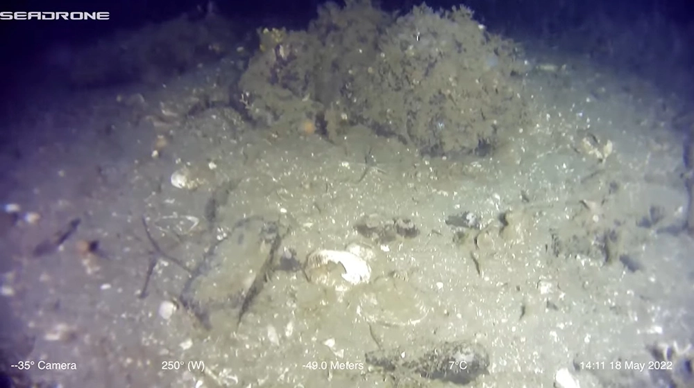 underwater vehicle explores a stone fish trap