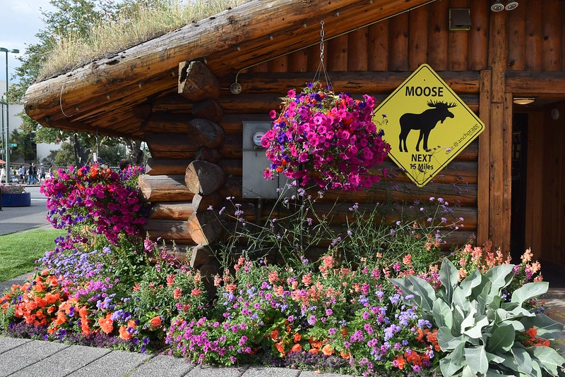 Anchorage Visitors center